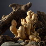 Divine Aura - parfüüm naistele - 3