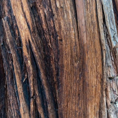 Dark Nectar - parfüüm meestele