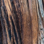 Dark Nectar - parfüüm meestele - 3