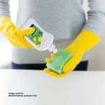 PowerDish «Lemon» (tigulima ekstraktiga) - 2