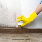 Magic Eraser puhastuskäsn (2 tk) - 2