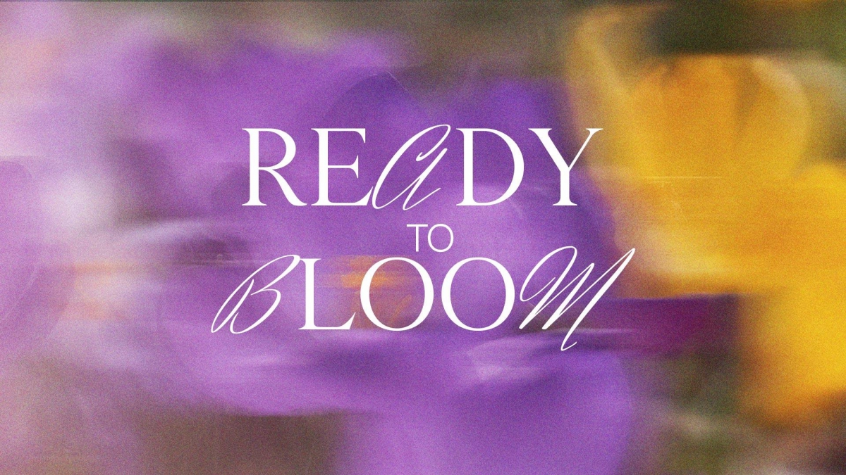 Подготовься к весне с нашими эксклюзивными акциями