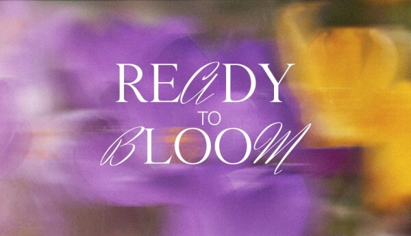 Подготовься к весне с нашими эксклюзивными акциями